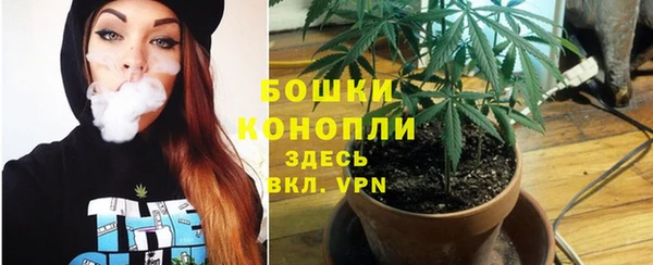 каннабис Алзамай