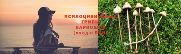 шишки Алексеевка