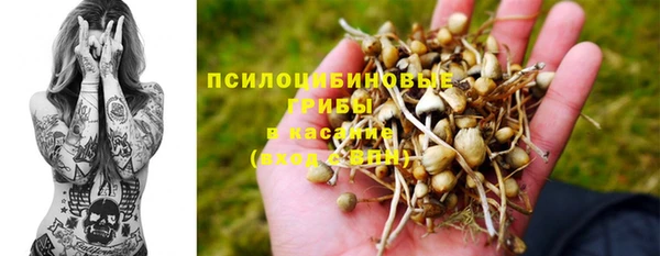 шишки Алексеевка