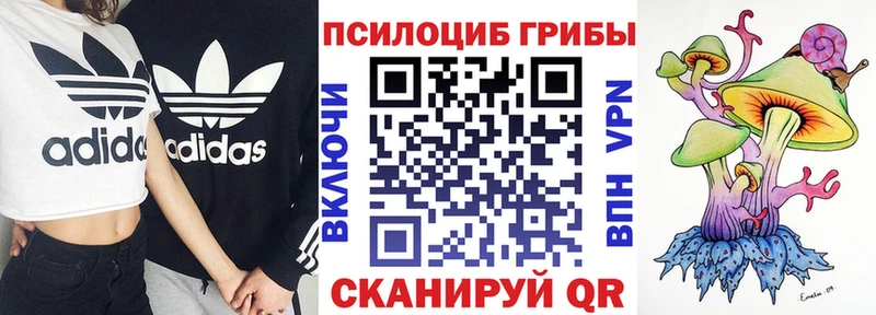 Псилоцибиновые грибы мухоморы  Купить  Сланцы 